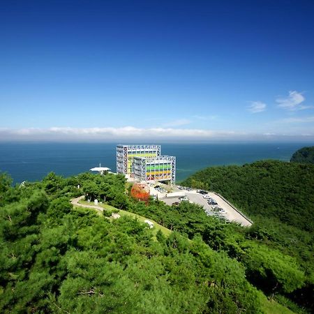Haslla Art World Museum Hotel Gangneung Extérieur photo